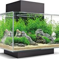 Recensioni di acquario da scrivania