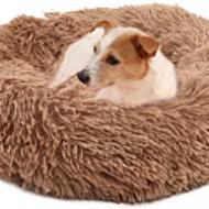 Recensioni di cuccia letto per cani