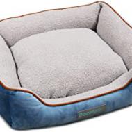 Recensioni di lettino cane