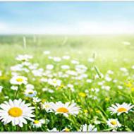 Recensioni di primavera quadro