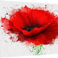 Recensioni di quadri bianco e nero e rosso