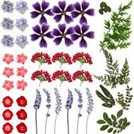 Recensioni di quadri con fiori secchi pressati