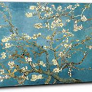 Recensioni di quadri fiori
