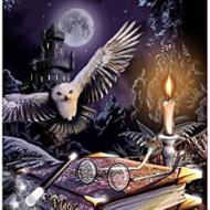 Recensioni di quadri harry potter