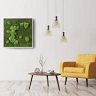 Recensioni di quadri vegetali