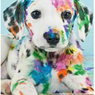 Recensioni di quadro cane