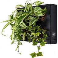 Recensioni di quadro giardino verticale