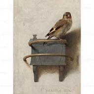 Recensioni di quadro il cardellino