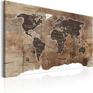 Recensioni di quadro planisfero