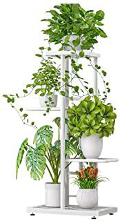 Recensioni di scaffale balcone