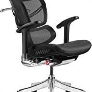 Recensioni di sedie ergonomiche