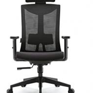 Recensioni di stokke sedia ergonomica