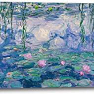 Recensioni di un quadro di monet
