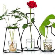 Recensioni di vasi per fiori da tavolo