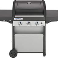 Recensioni di weber barbecue gas