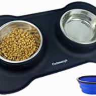 Recensioni di ciotole rialzate per cani