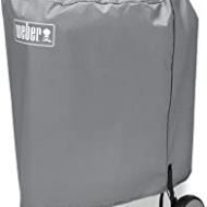 Recensioni di weber barbecue