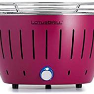 Recensioni di barbecue piccolo