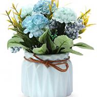 Recensioni di ciotole fiori per cimitero