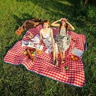 Recensioni di coperta da pic nic