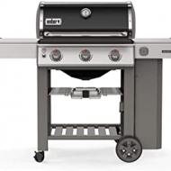 Recensioni di barbecue weber spirit