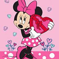 Recensioni di aspirapolvere di minnie