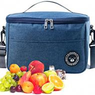 Recensioni di borsa frigo elettrica