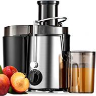 Recensioni di estrattore succo