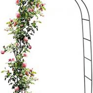 Recensioni di rose da giardino