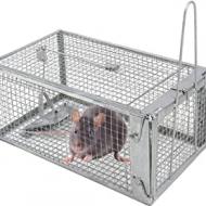 Recensioni di trappole per tortore