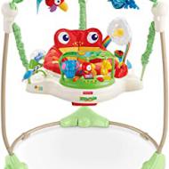 Recensioni di dondolo fisher price