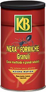 Recensioni di insetticida per millepiedi