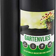 Recensioni di piante da giardino resistenti al freddo