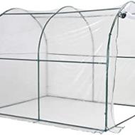 Recensioni di piante per giardino