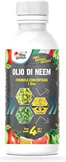 Recensioni di piante verdi da giardino