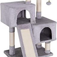 Recensioni di casetta gatto