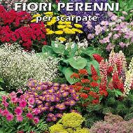 Recensioni di fiori invernali da giardino perenni