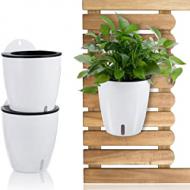 Recensioni di fiori per giardino