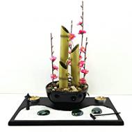 Recensioni di mini giardino zen