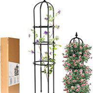Recensioni di rose giardino