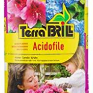 Recensioni di terriccio per azalee
