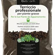 Recensioni di terriccio per piante grasse