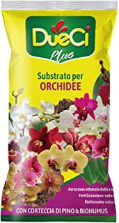 Recensioni di vigorplant terriccio