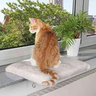 Recensioni di amaca gatto