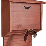 Recensioni di casette per pipistrelli