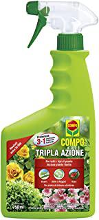 Recensioni di insetticida per interni