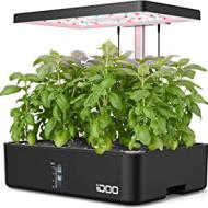 Recensioni di mini giardino