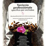 Recensioni di orchidea terriccio