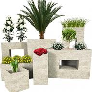 Recensioni di piante da giardino con fiori