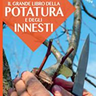 Recensioni di schema potatura melo